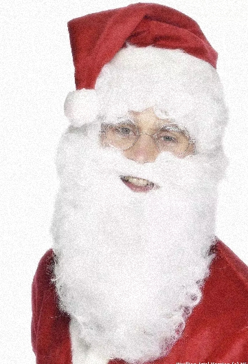 (image for) Cool Yule Santa Claus Beard